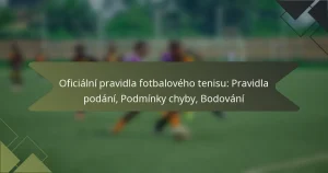 Oficiální pravidla fotbalového tenisu: Pravidla podání, Podmínky chyby, Bodování