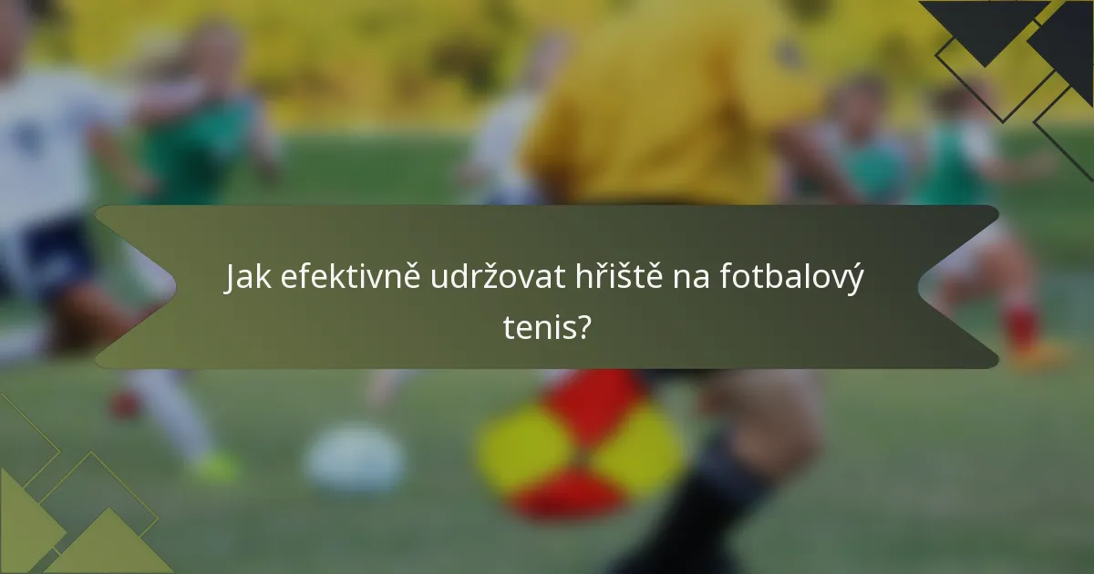 Jak efektivně udržovat hřiště na fotbalový tenis?